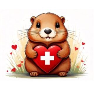 Einzelaktivierung WG